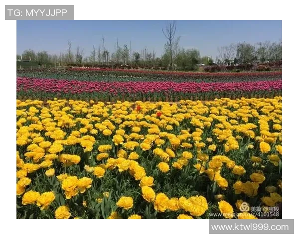 陕西大秦之水与盐城大丰争夺三四名决赛荣耀之战即将上演